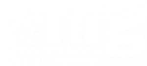 Networking Referral Group of Rochester (NRG) Logo